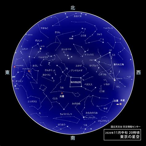 11月25號星座